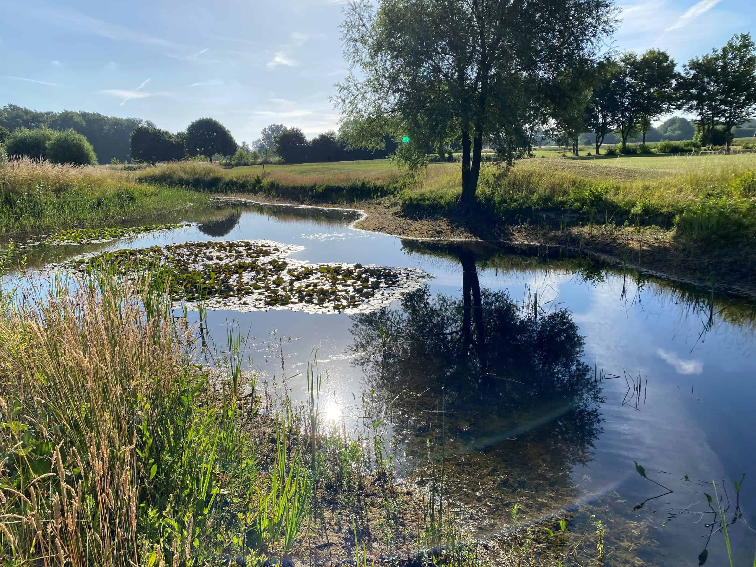 GC Brückhausen