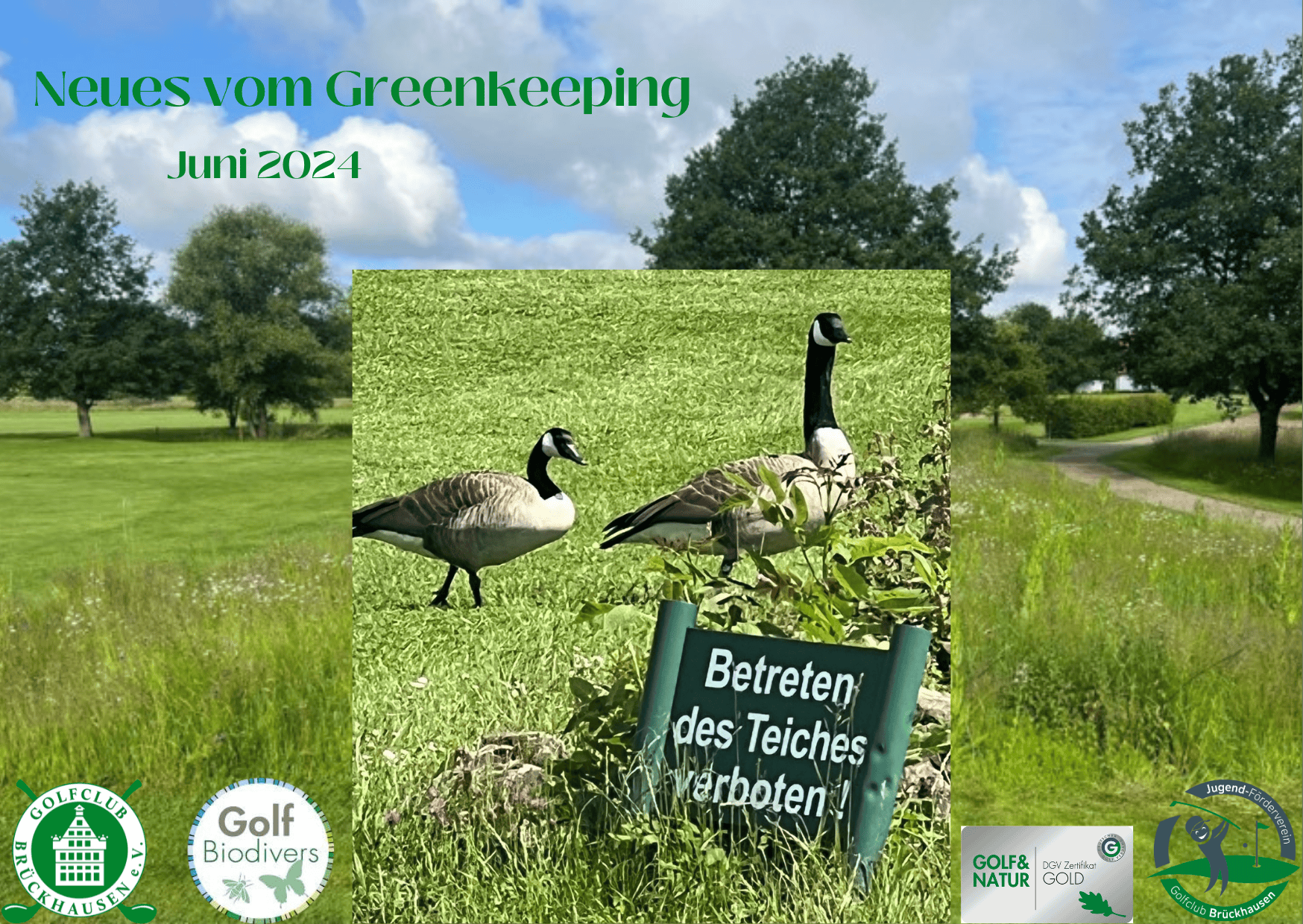 Neues vom Greenkeeping aus dem GCB – Juni 2024